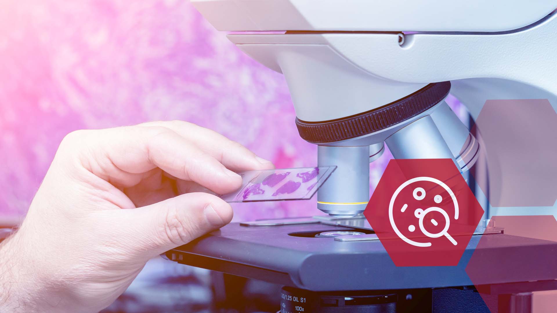 NEXUS Shop, Titelmotiv für die Kategorie Pathologie & Zytologie