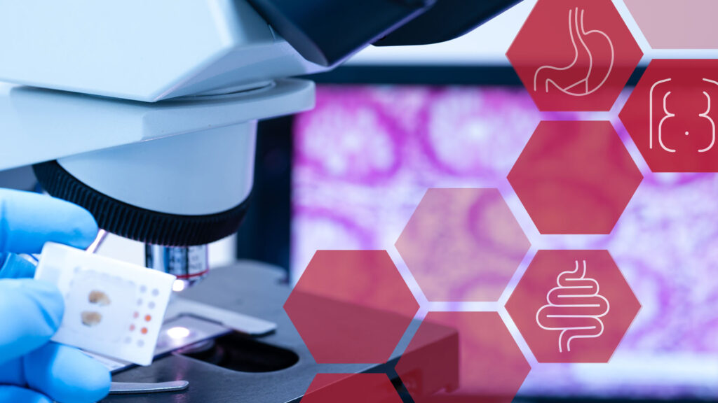 NEXUS PATHO, Endoskopie, Pathologieschnittstelle